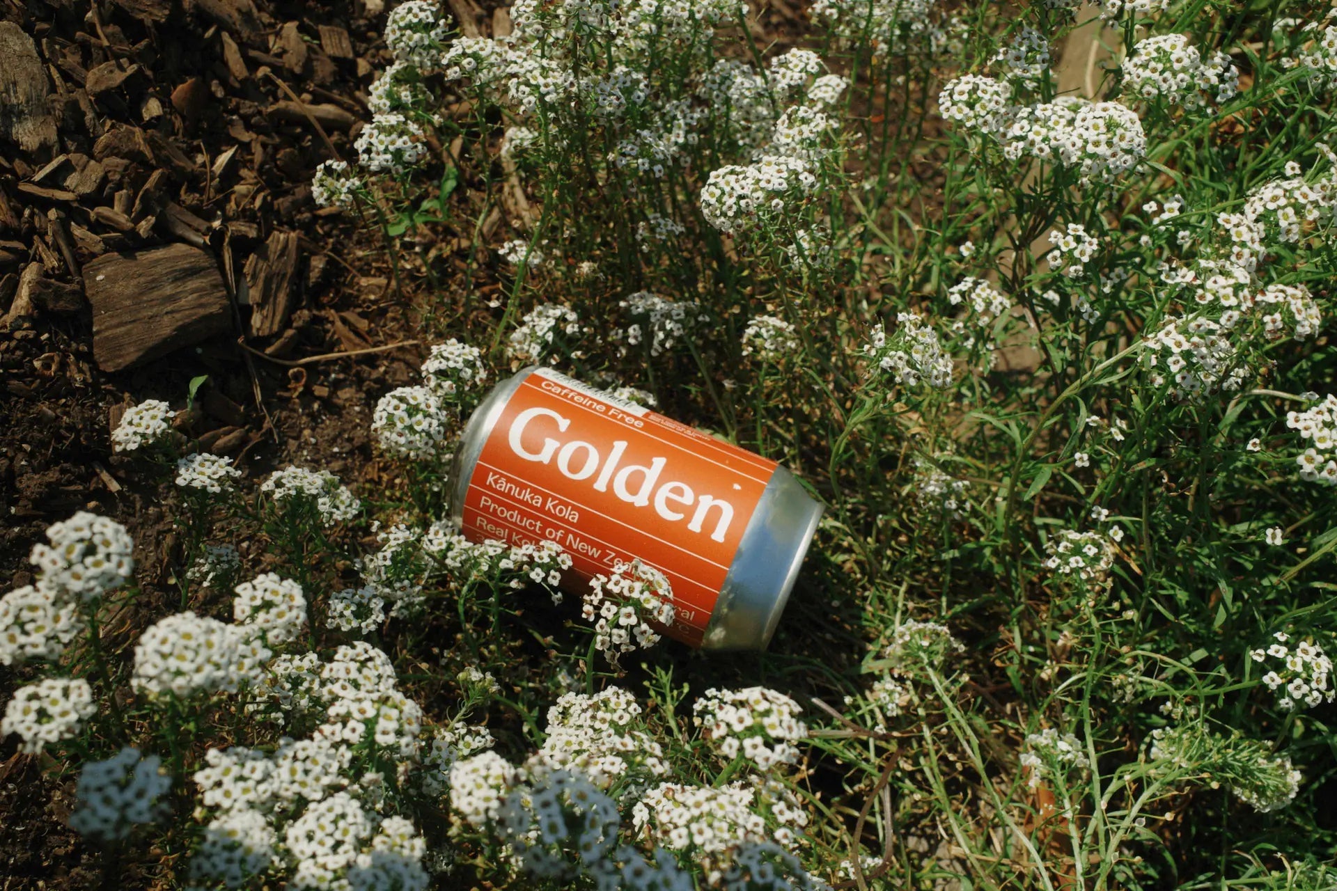 Dry January: Stay Golden