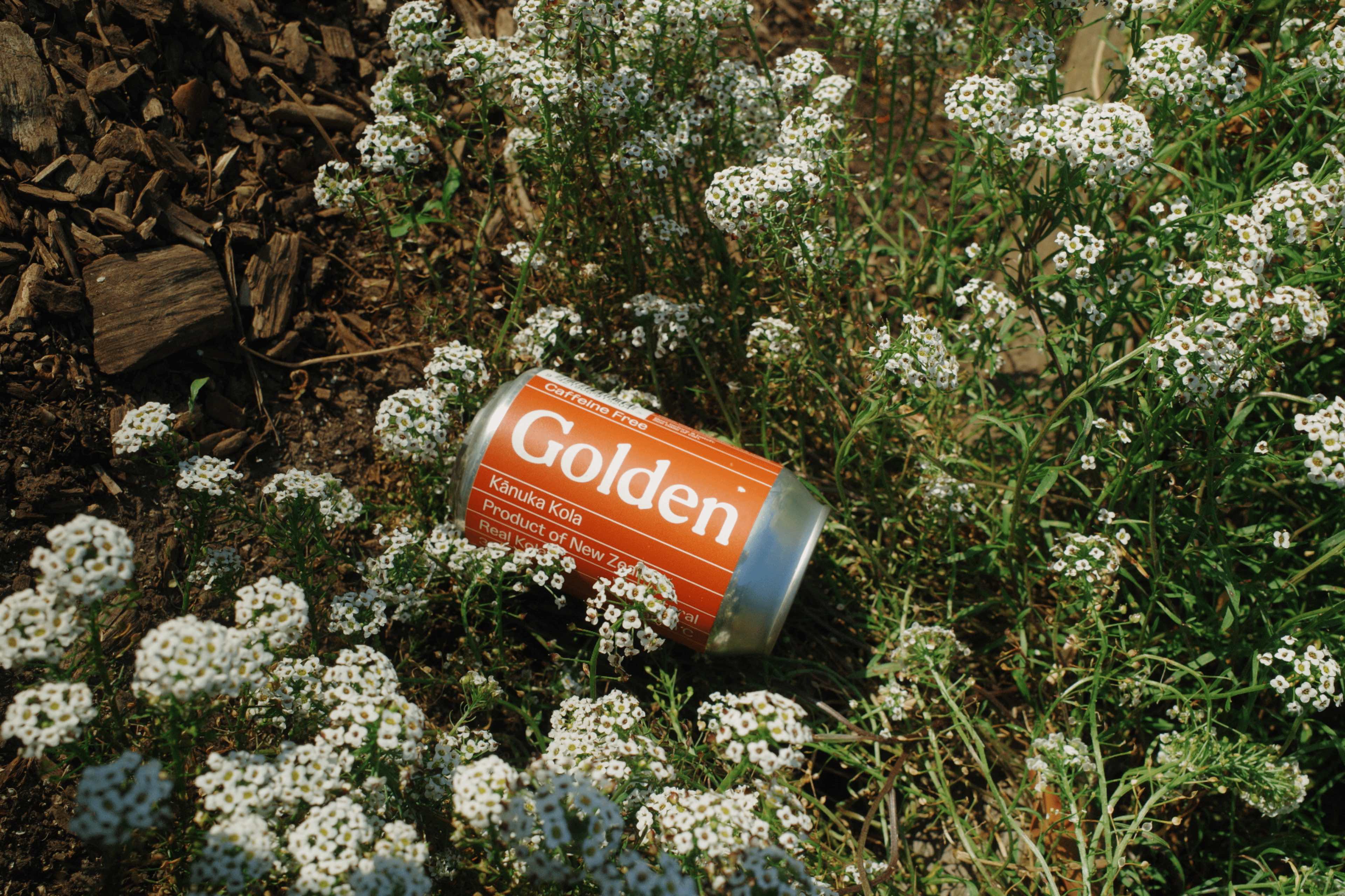 Dry January: Stay Golden